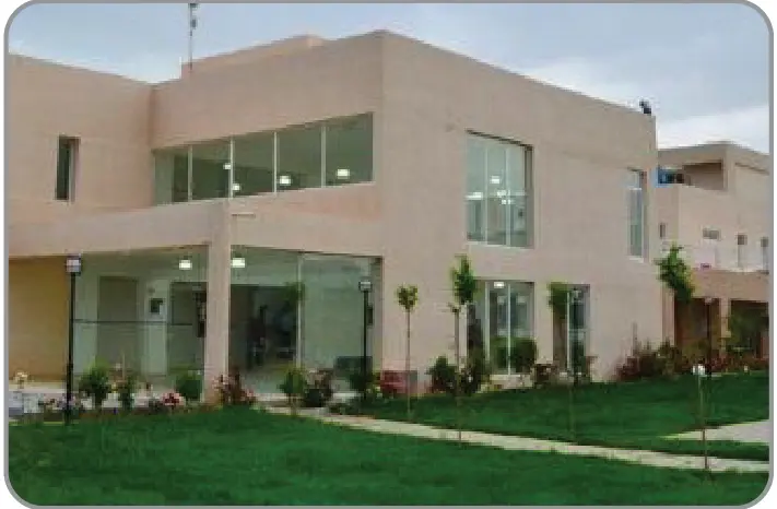 Lebanese French University